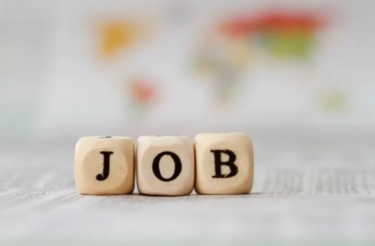 Internship Image
